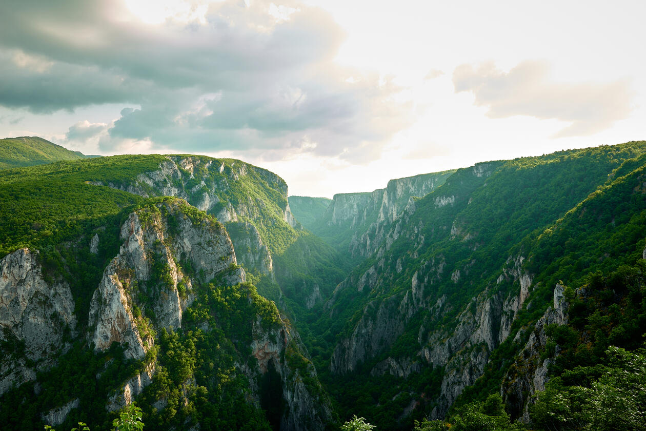 Nature